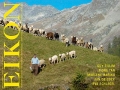 EIKON #70 (Juni 2010)