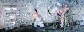 Lukas Maximilian H�ller: Sloth